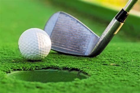 phmga|palm harbor golf tournament.